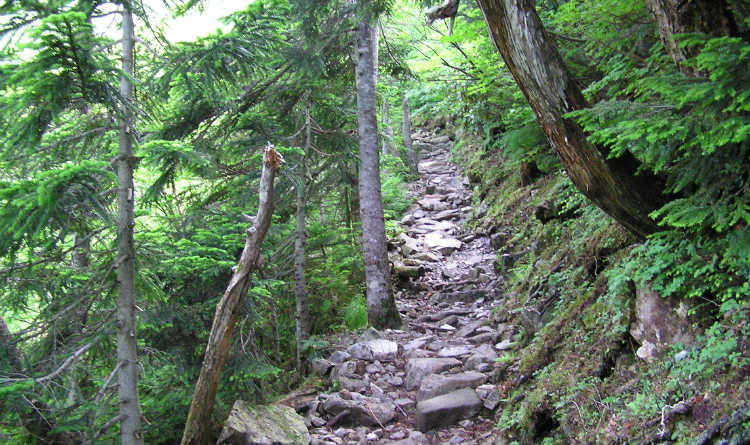 登山口