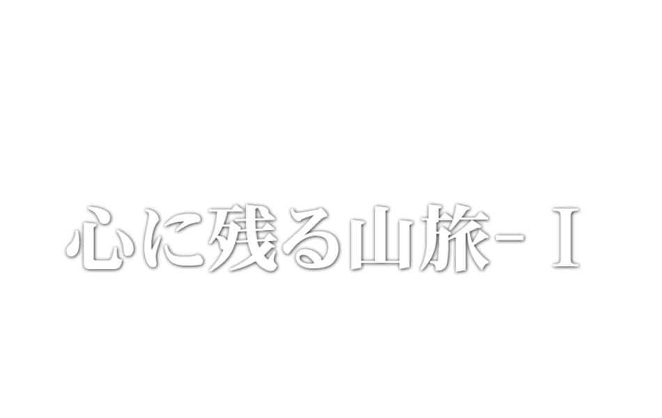 まとめ買いキャンペーン