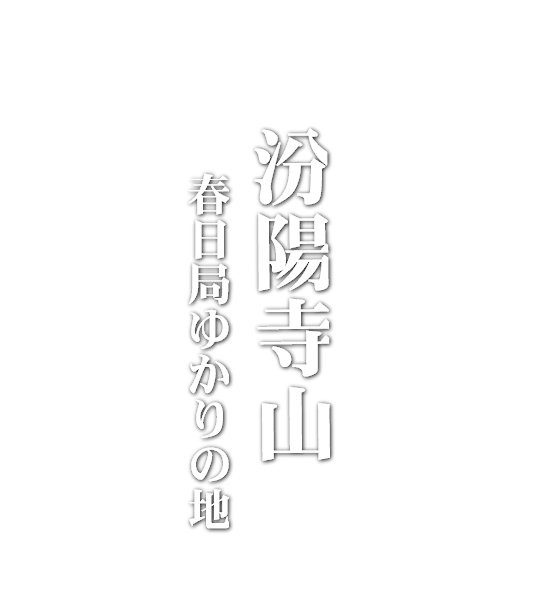 まとめ買いキャンペーン